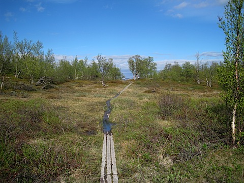 Abisko Juni 2009 dag 4 - 45.jpg